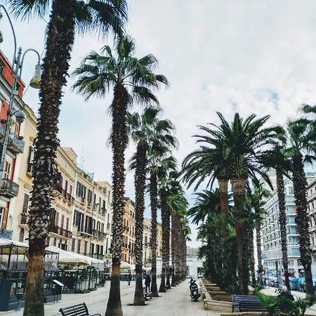 Roof Garden Di Charme 3* 바리